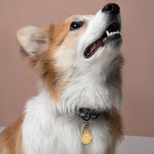 Load image into Gallery viewer, Pro Choice Engraved Dog, Cat and Pet ID tag - ProChoice With Heart