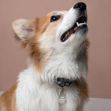 Load image into Gallery viewer, Pro Choice Engraved Dog, Cat and Pet ID tag - ProChoice With Heart